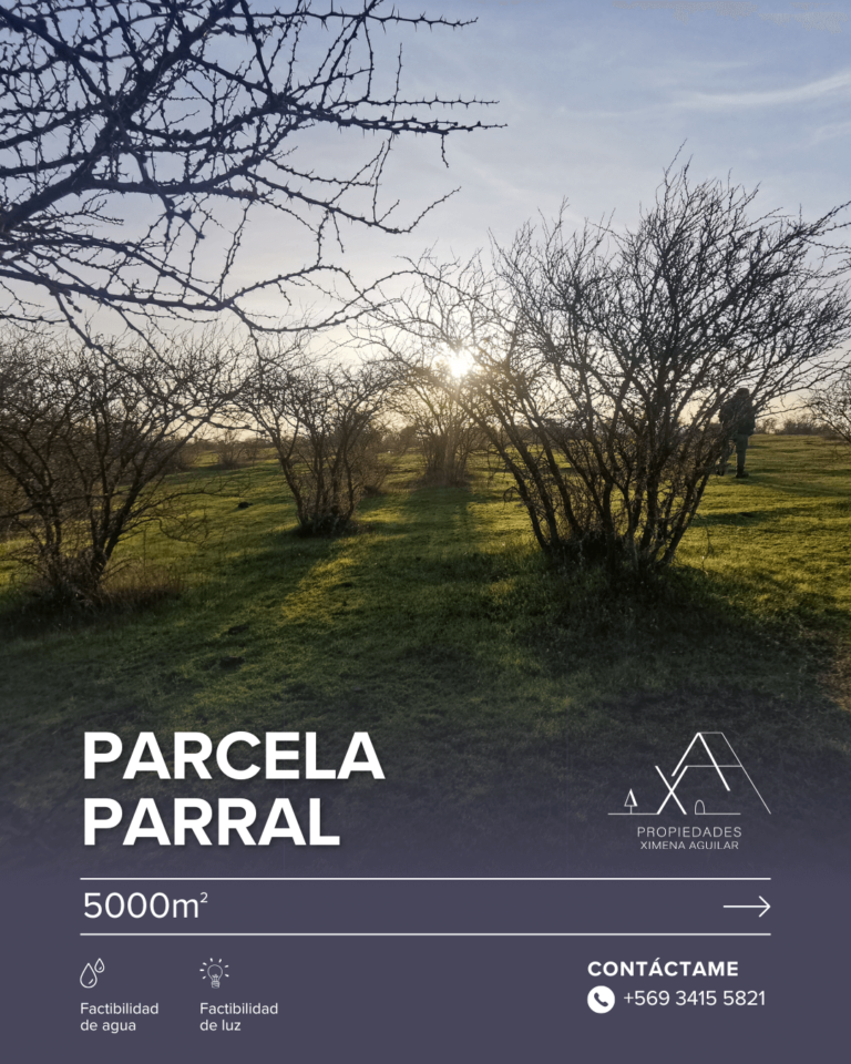 PARCELA PARRAL (1)