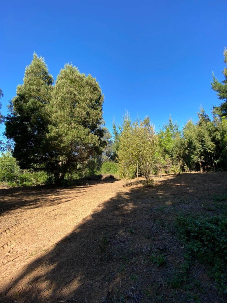 WhatsApp Image 2025-10-21 at 22.49.19 (11)