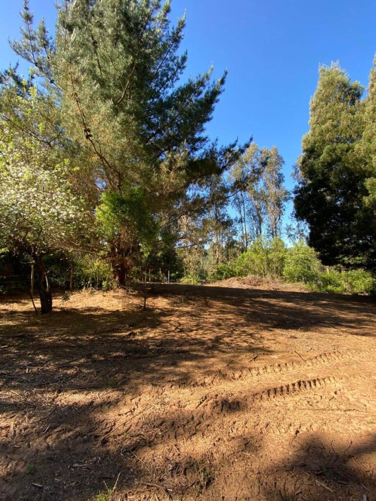 WhatsApp Image 2025-10-21 at 22.49.19 (12)