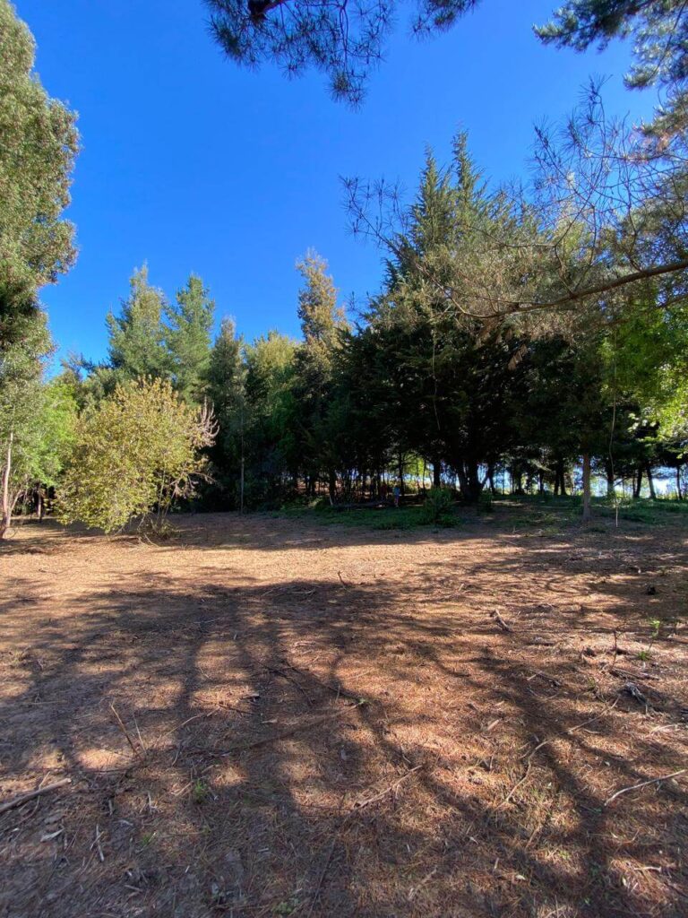 WhatsApp Image 2025-10-21 at 22.49.19 (14)