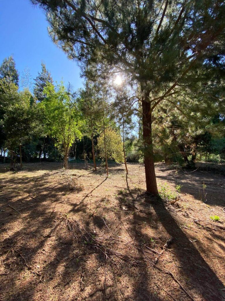 WhatsApp Image 2025-10-21 at 22.49.19 (16)