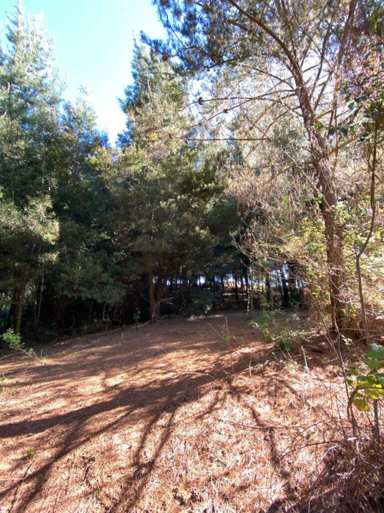 WhatsApp Image 2025-10-21 at 22.49.19 (17)