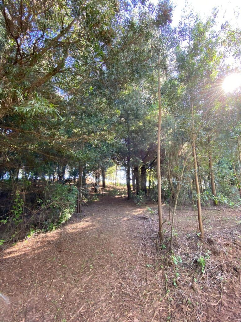 WhatsApp Image 2025-10-21 at 22.49.19 (18)