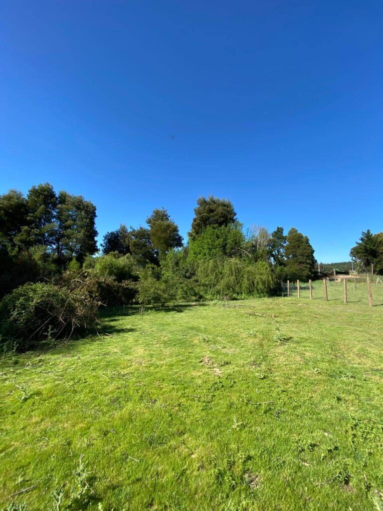 WhatsApp Image 2025-10-21 at 22.49.19 (5)