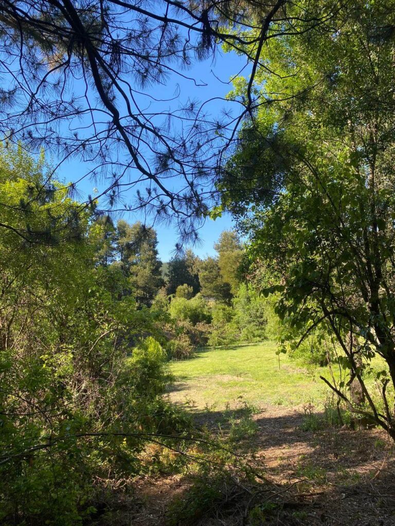 WhatsApp Image 2025-10-21 at 22.49.19 (6)