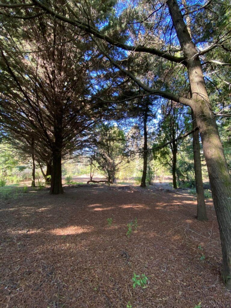 WhatsApp Image 2025-10-21 at 22.49.19 (9)