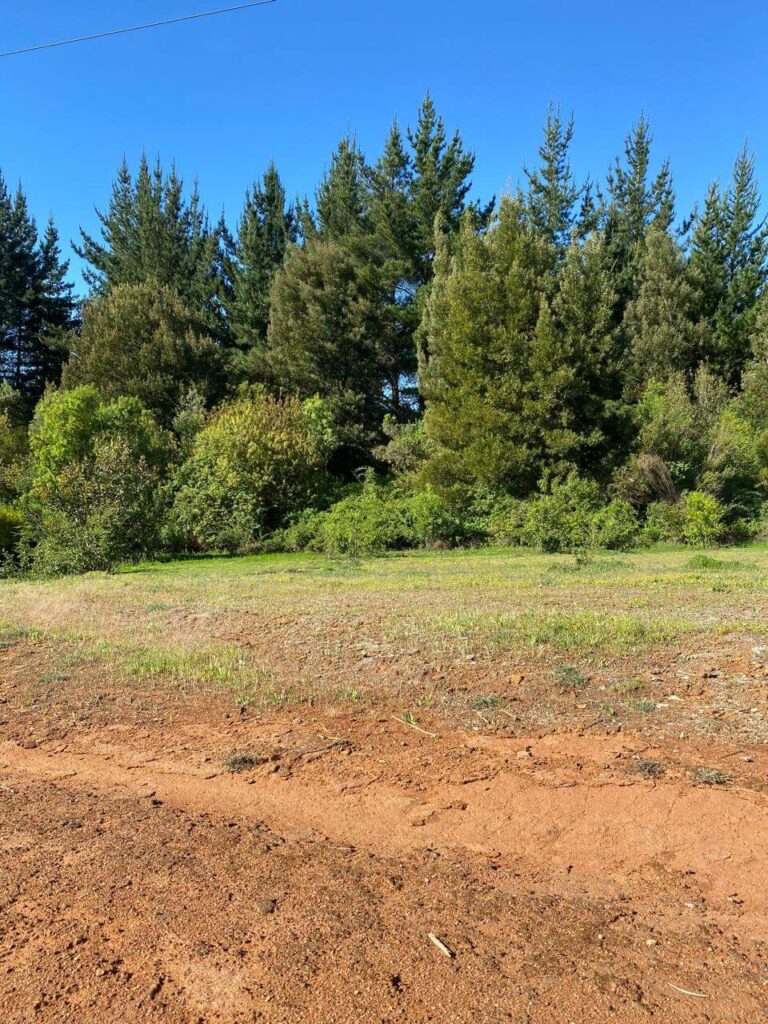 WhatsApp Image 2025-10-21 at 22.54.57