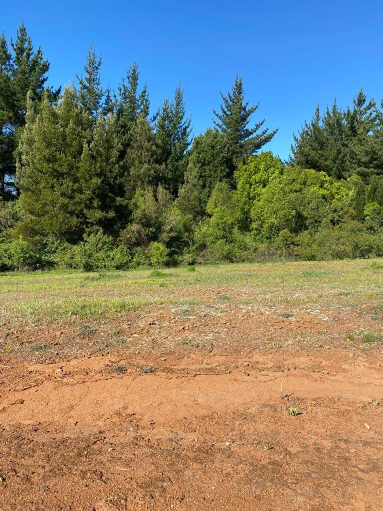 WhatsApp Image 2025-10-21 at 22.54.58