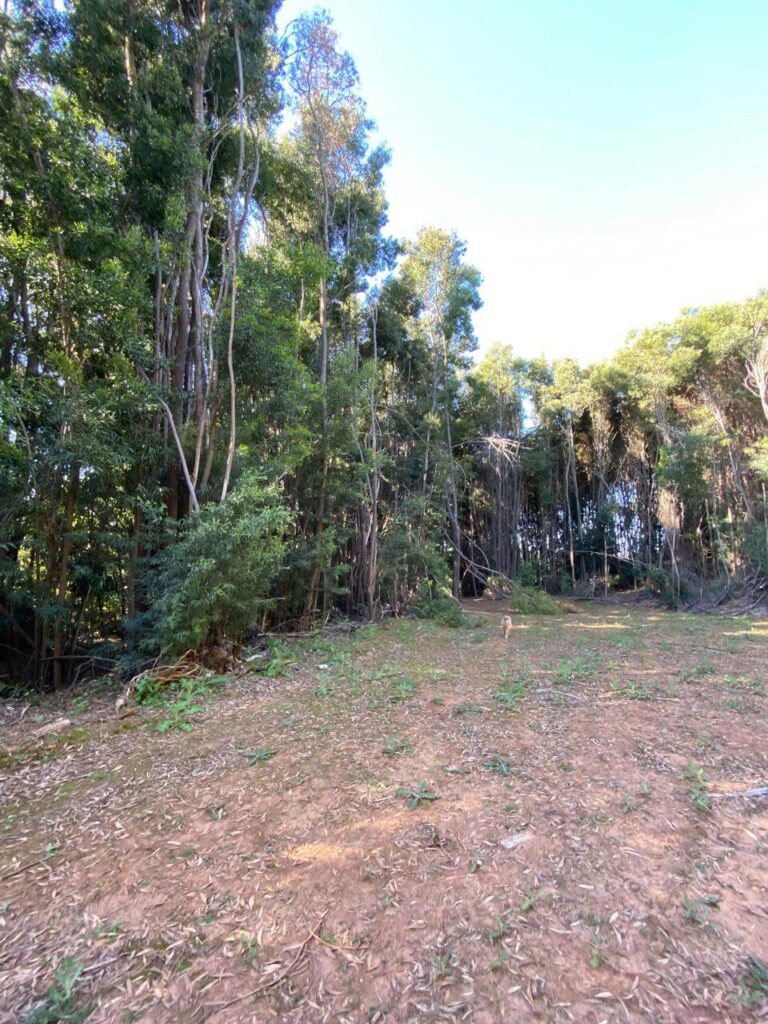 WhatsApp Image 2025-10-21 at 22.59.06 (1)