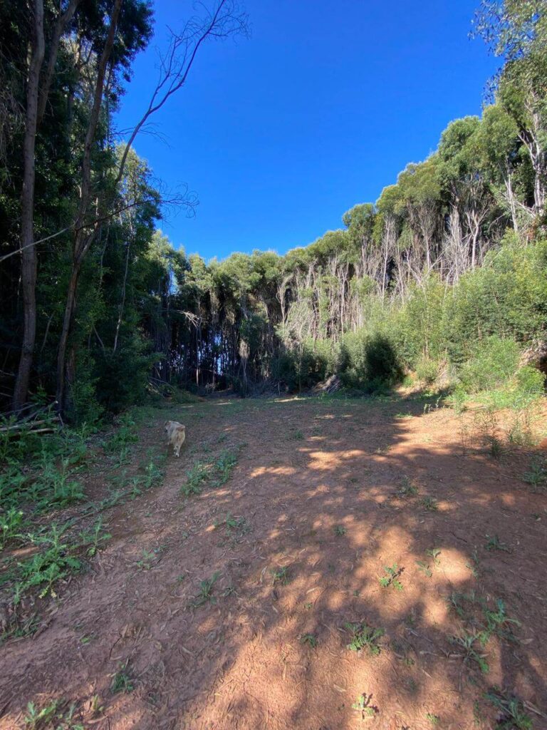 WhatsApp Image 2025-10-21 at 22.59.06